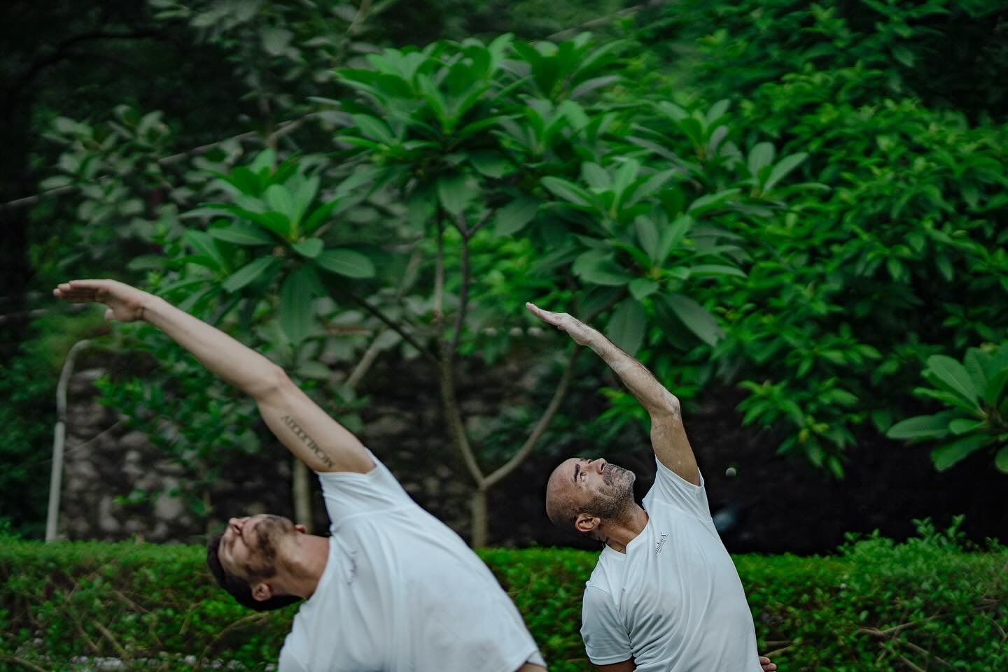 Yoga Teacher Training